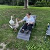 Images de profil de Romane - Blooming Pets - Petsitting et garde d'animaux à domicile