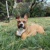 Images de profil de Romane - Blooming Pets - Petsitting et garde d'animaux à domicile