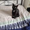 Images de profil de sandrine - Blooming Pets - Petsitting et garde d'animaux à domicile