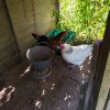 Images de profil de sandrine - Blooming Pets - Petsitting et garde d'animaux à domicile