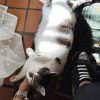 Images de profil de sandrine - Blooming Pets - Petsitting et garde d'animaux à domicile