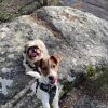 Images de profil de Mandy - Blooming Pets - Petsitting et garde d'animaux à domicile