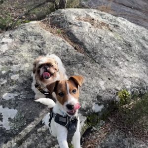 Images de profil de Mandy - Blooming Pets - Petsitting et garde d'animaux à domicile