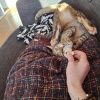 Images de profil de Silohé - Blooming Pets - Petsitting et garde d'animaux à domicile