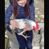 Images de profil de Susy - Blooming Pets - Petsitting et garde d'animaux à domicile
