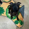 Images de profil de Noémie - Blooming Pets - Petsitting et garde d'animaux à domicile