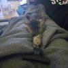 Images de profil de Noémie - Blooming Pets - Petsitting et garde d'animaux à domicile