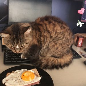 Images de profil de victor - Blooming Pets - Petsitting et garde d'animaux à domicile
