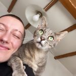 Erasmus Mon Chat  Européen Mâle stérilisé - Garde d'animaux à domicile