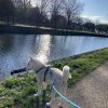 Images de profil de Charlie - Blooming Pets - Petsitting et garde d'animaux à domicile