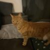 Images de profil de Charlie - Blooming Pets - Petsitting et garde d'animaux à domicile