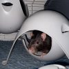 Images de profil de Charlie - Blooming Pets - Petsitting et garde d'animaux à domicile