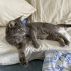Images de profil de Maty - Blooming Pets - Petsitting et garde d'animaux à domicile