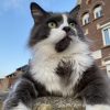 Images de profil de Maty - Blooming Pets - Petsitting et garde d'animaux à domicile