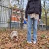 Images de profil de Zoé - Blooming Pets - Petsitting et garde d'animaux à domicile